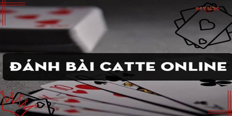 Cách chơi bài catte đơn giản nhất