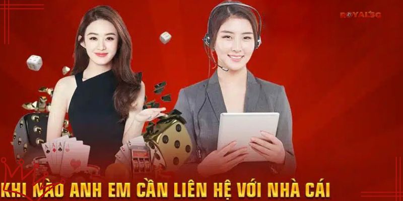 Khi nào cần liên lạc Royalsg hỗ trợ?