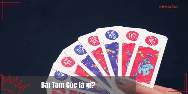 Giới thiệu bài tam cúc là gì?